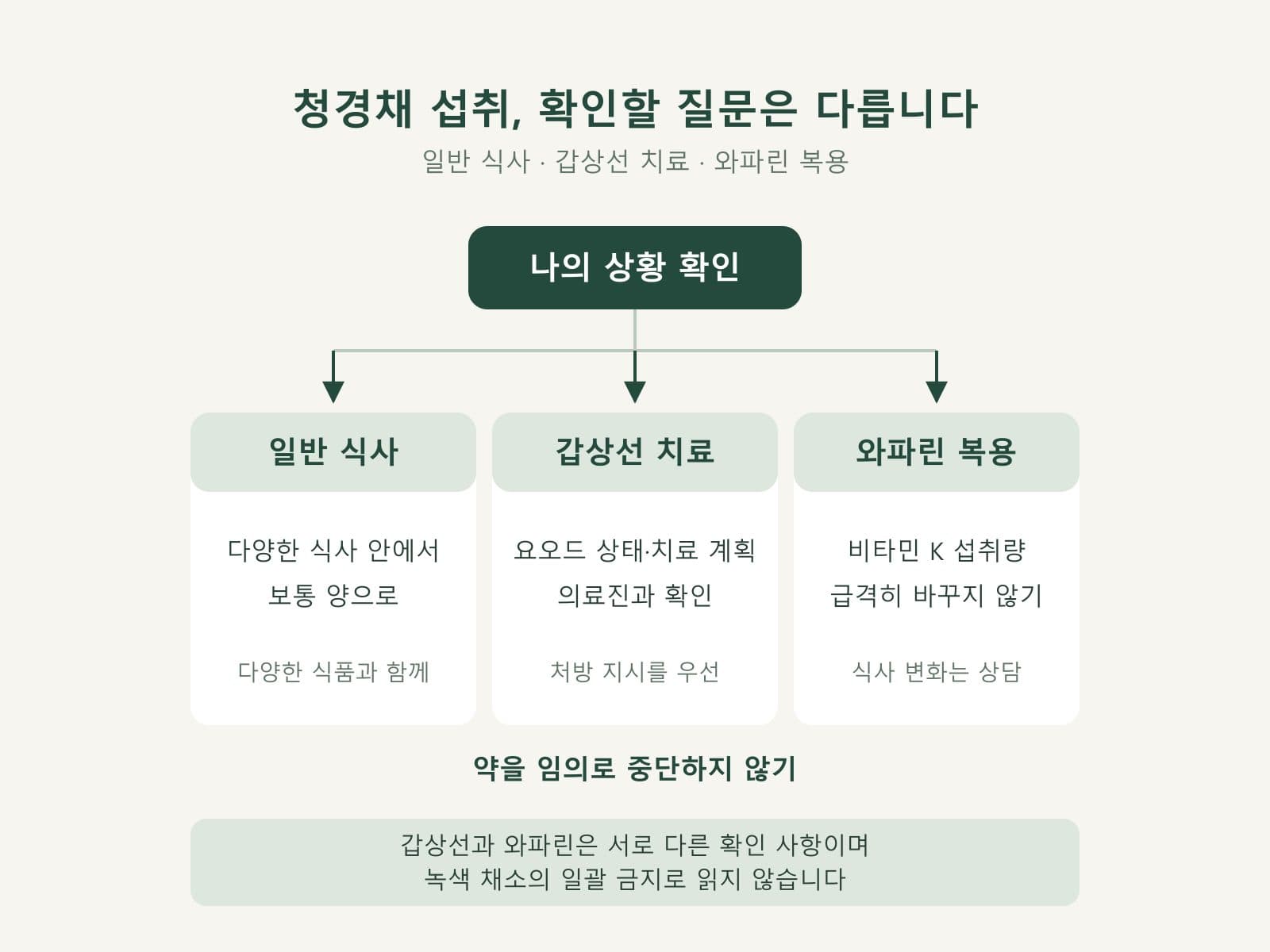 청경채 섭취에서 갑상선 상태와 와파린 주의를 구분한 도식