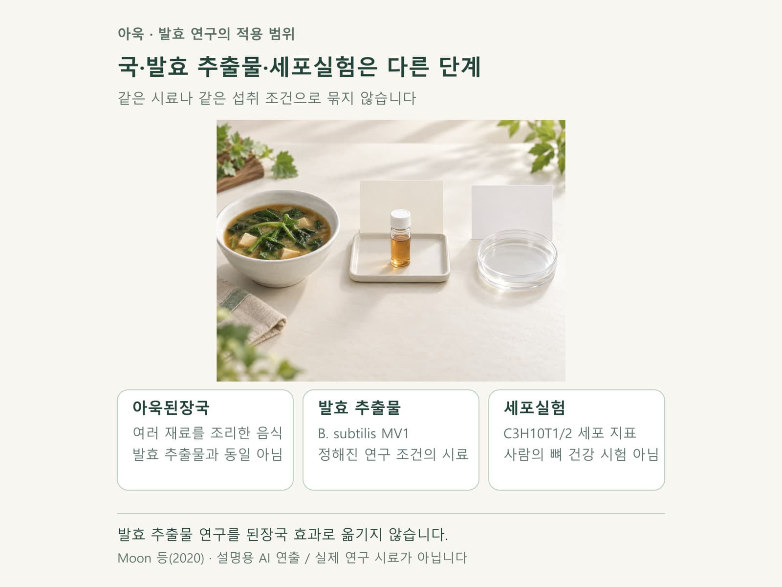 아욱된장국과 발효 추출물 세포실험의 차이를 보여주는 카드