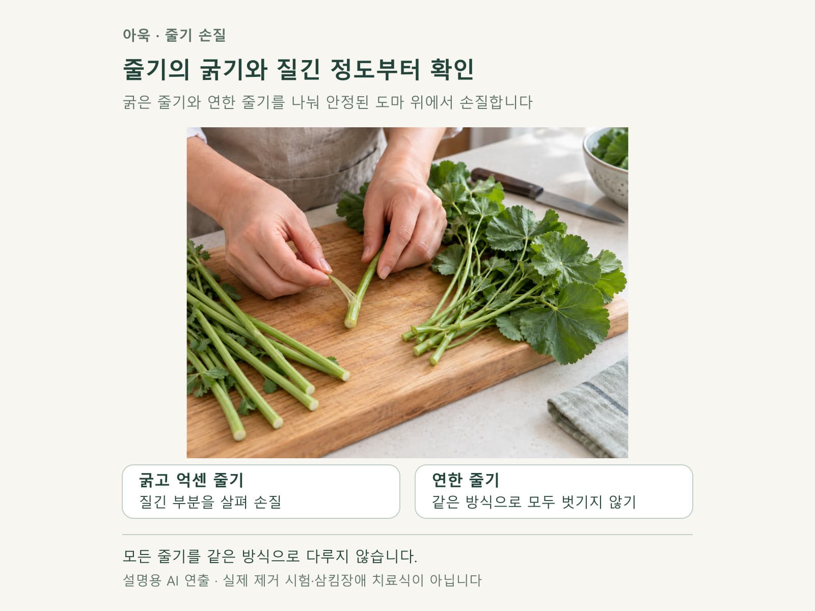아욱 줄기의 굵기별 손질 구분