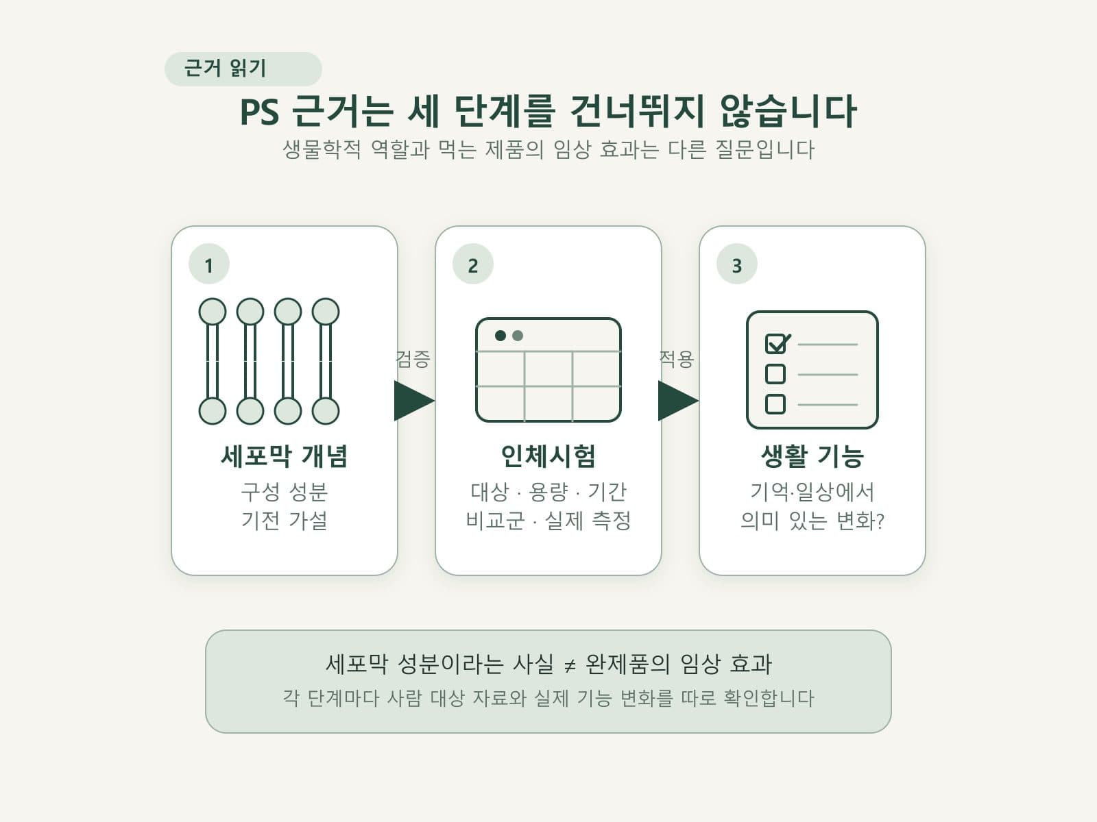 포스파티딜세린의 기전과 인체시험 및 생활 기능을 구분한 도식