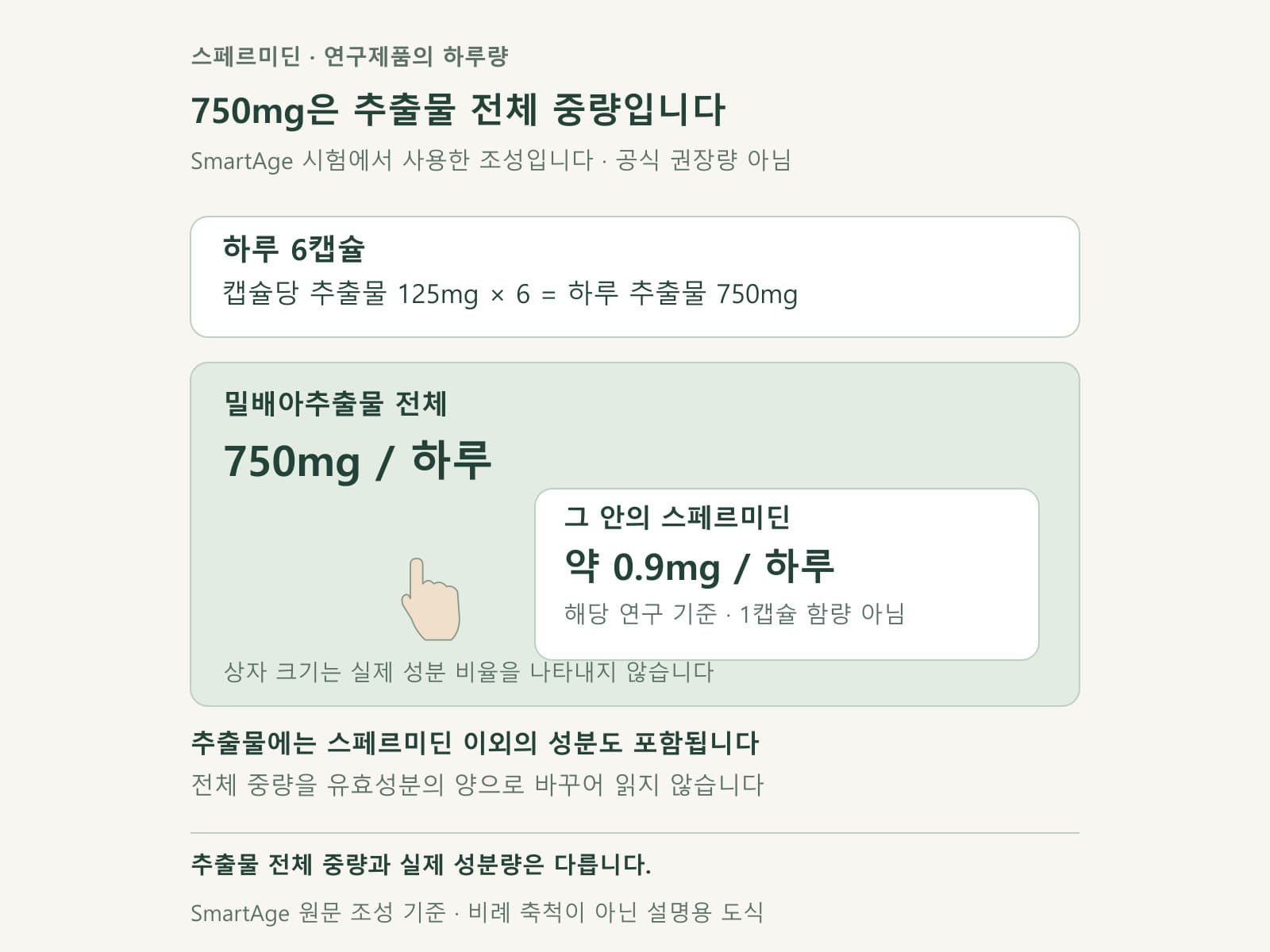스페르미딘 연구제품의 추출물 중량과 실제 하루 성분량 카드