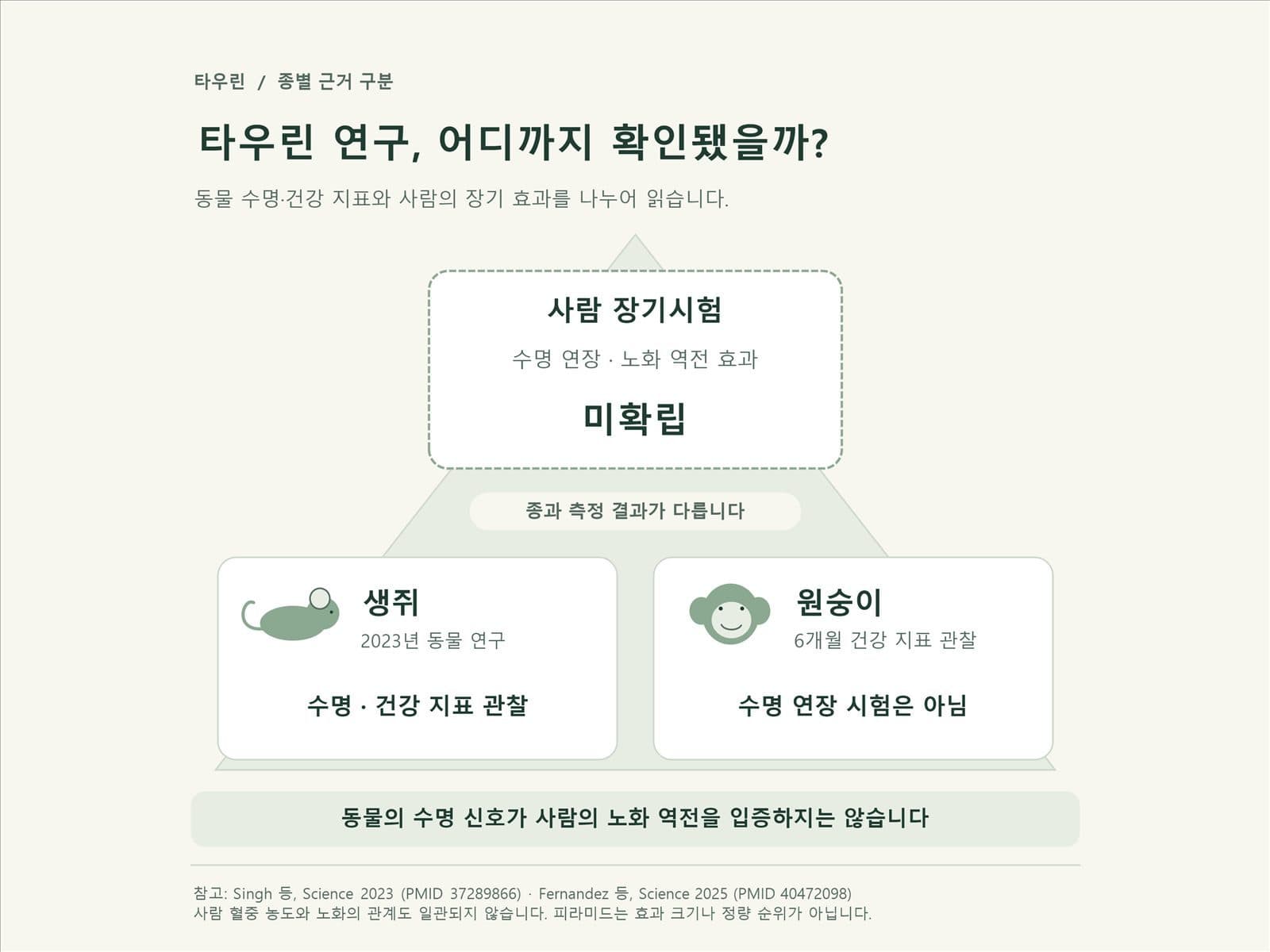 동물실험부터 인체 임상시험까지 근거 수준을 피라미드로 나타낸 이미지
