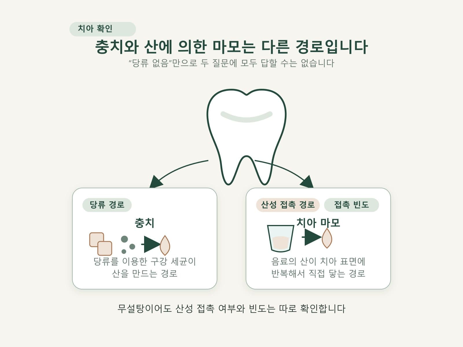 당류 관련 충치와 산성 음료의 치아 마모를 구분한 도표