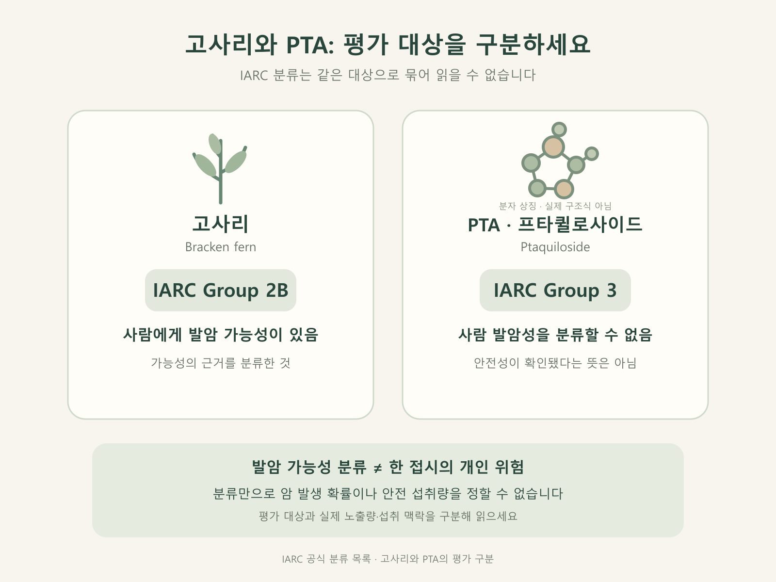 고사리 프타퀼로사이드 IARC Group 2B