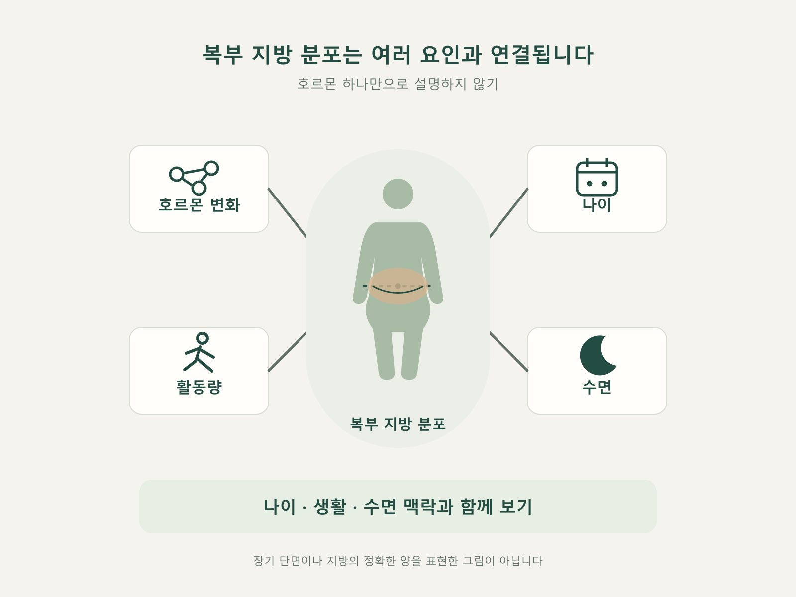 호르몬·나이·활동량·수면 네 요인이 복부지방으로 연결되는 도식